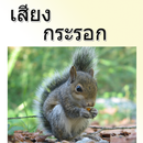 เสียงกระรอกร้อง HD aplikacja