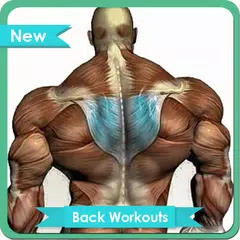 Descargar APK de Back Workouts