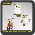 Cute DIY Owl Pinecone Craft icon