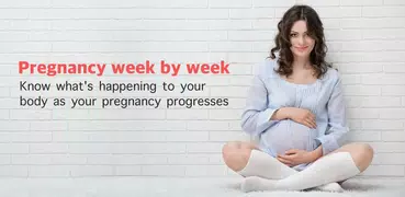 I'm Pregnant - Pregnancy Week By Week