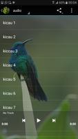 1 Schermata kolibri master kicau