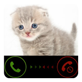 Funny Cat Calling Prank icon