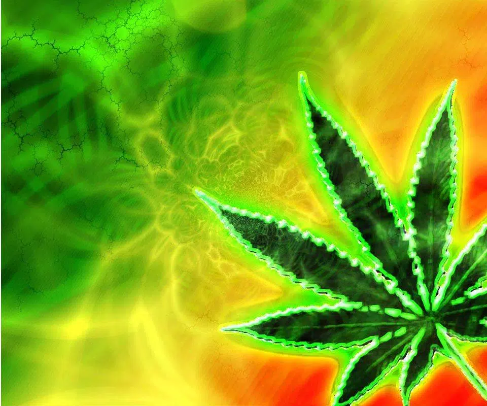 WeeD Wallpapers HD Anime APK pour Android Télécharger