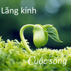 Qua Tang Cuoc Song icône