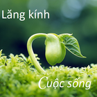 Qua Tang Cuoc Song-icoon