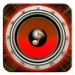 Bom Diggy Diggy Song