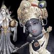 Krishna Bhajan New