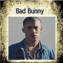 Bad Bunny - Te Bote (Remix) APK