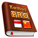 Kamus Indonesia China Pro APK