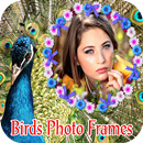 Las aves marcos de fotos APK