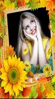 Sunflower Photo Frames poster
