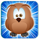 Bird Matching Games APK