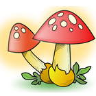 Poison Fruit icon