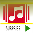 Alle liedjies 5urprise أيقونة