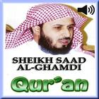 Audio Quran by Saad Al Ghamdi icône