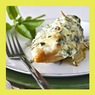 Chicken breast recipes icon