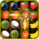 Fruit Dash APK