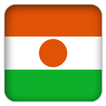 Selfie with Niger flag