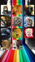 Funny Cats Life Slide Puzzles 스크린샷 1