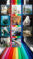 Polar Bears Slide Puzzles capture d'écran 1