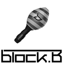 Block B Photo Gallery APK
