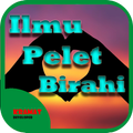 Ilmu Pelet Birahi