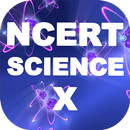 Science X NCERT Solutions APK