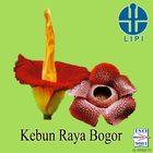 Jelajah Kebun Raya Bogor ícone