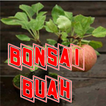 Bonsai Tanaman Buah Menarik