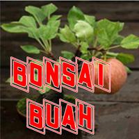 Bonsai Tanaman Buah Menarik poster