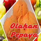 Aneka Resep Olahan Pepaya アイコン