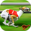 Dog Racing games & Wolf Stunts
