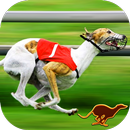 Dog Racing games & Wolf Stunts APK