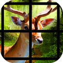 Animal Pet Baby Saving APK