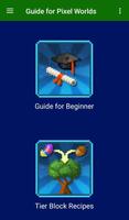 Beginners Guide for Pixel Worlds 포스터