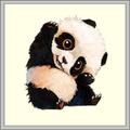 Panda Wallpaper