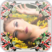 Nature Photo Grid Editor