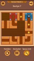 Save the Ball Puzzle ภาพหน้าจอ 1