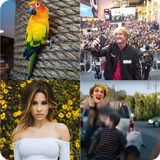 Logan Paul Quiz icon