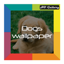 Dogs Wallpapers aplikacja