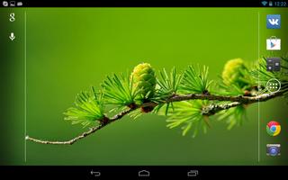 Nature wallpapers Affiche