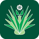 CUP APK