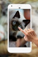 Cute Cat Water Ripple Live Wallpaper Affiche