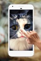 Cute Cat Water Ripple Live Wallpaper ảnh chụp màn hình 1
