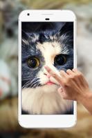 Cute Cat Water Ripple Live Wallpaper screenshot 1