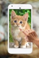 Cute Cat Water Ripple Live Wallpaper स्क्रीनशॉट 3