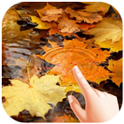 Autumn Water Ripple Live Wallpaper آئیکن