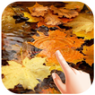 Autumn Water Ripple Live Wallpaper