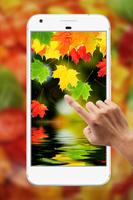 Autumn Water Ripple Live Wallpaper پوسٹر