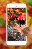 Autumn Water Ripple Live Wallpaper اسکرین شاٹ 2